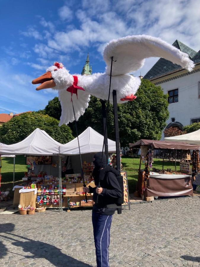 Krizkov Dom Apartman Körmöcbánya Kültér fotó