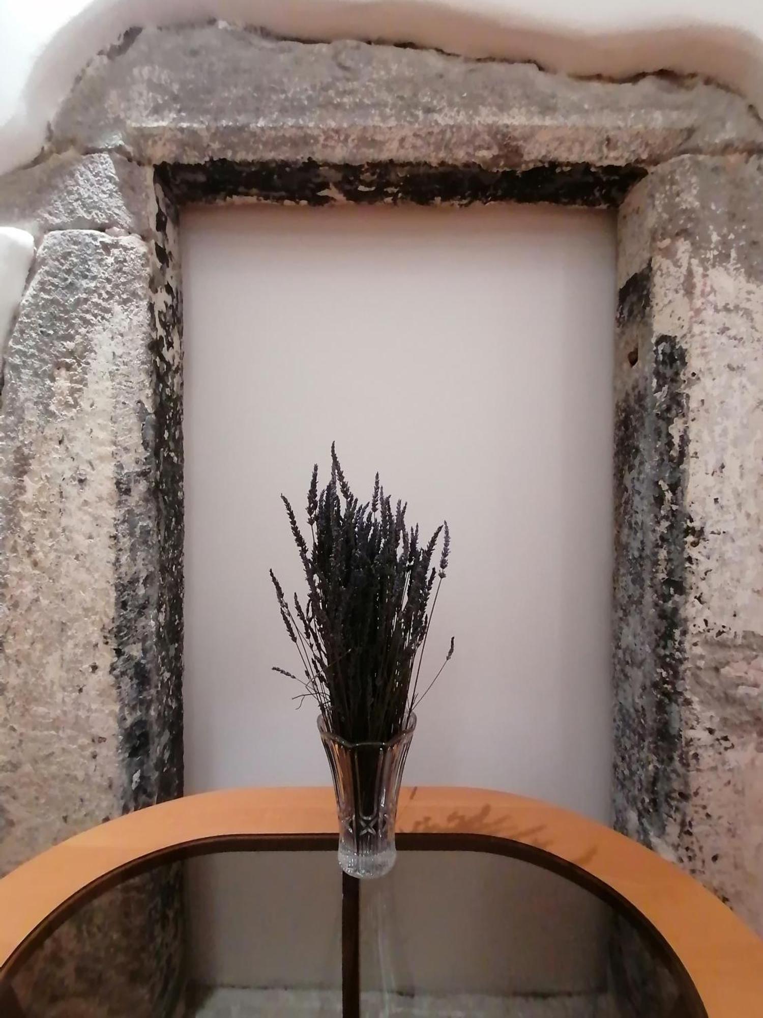 Krizkov Dom Apartman Körmöcbánya Kültér fotó